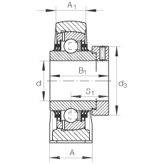 直立式軸承座單元 TSHE20-N, 鑄鐵軸承座，帶偏心鎖圈的外球面球軸承，T 型密封